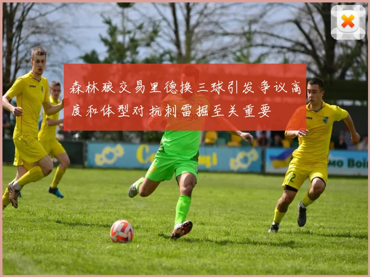 森林狼交易里德换三球引发争议高度和体型对抗刺雷掘至关重要